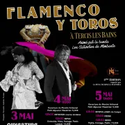 Festival Artes Flamenco y toros