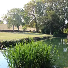 Festival Au Fil du Thouet : Un après-midi au bord du Thouet