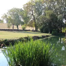 Festival Au Fil du Thouet : Un après-midi au bord du Thouet