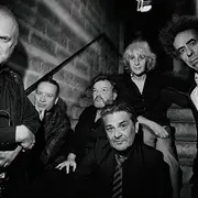 Festival aux champs : Les Négresses Vertes