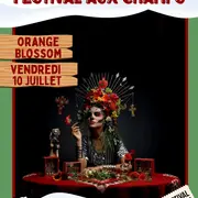 Festival aux Champs : Orange Blosson