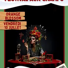 Festival aux Champs : Orange Blosson