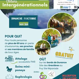 Festival Bel Age- ateliers intergénérationnels