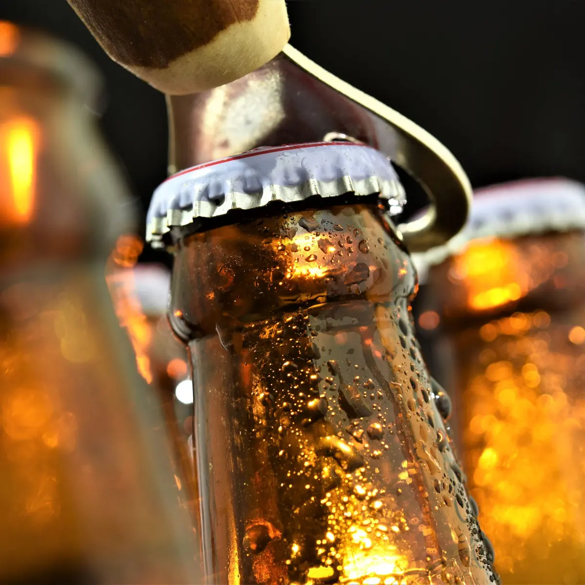 Festival Bière à Lille