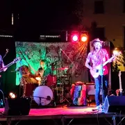 Festival Blues And Co