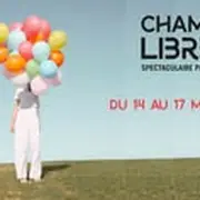 Festival Champs Libres