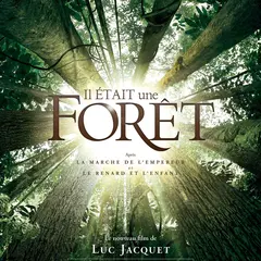 Festival cinéma plein air - Les Nuits étoilées