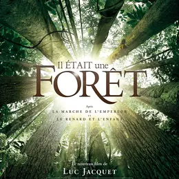 Festival cinéma plein air - Les Nuits étoilées