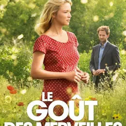 Festival cinéma plein air - Les Nuits étoilées