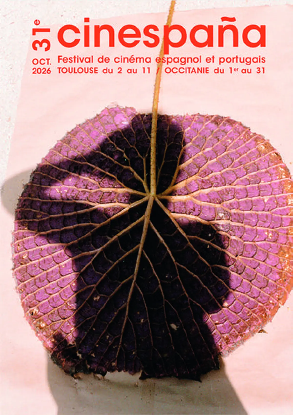 Festival Cinespaña