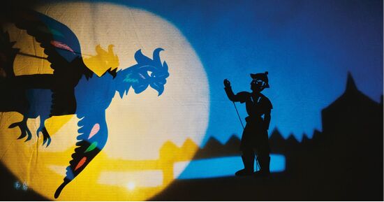 Festival Compli'Cit&eacute;