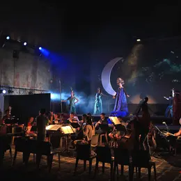 Festival D'Opéra Du Grand Sud -Mozart De Salzbourg à Vienne