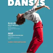 Festival Danse(s)