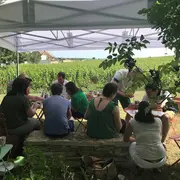 Festival de Bach à Bacchus - Atelier vins et parfums, Marie-France Bravard : Le parfum d'un vin de Meursault
