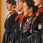 [Festival de Boucard]: Mikrokosmos