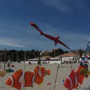 Festival de cerfs-volants