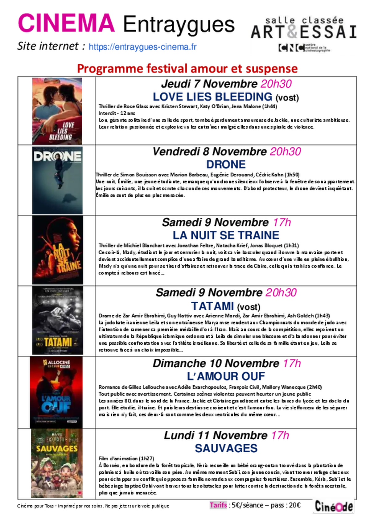 Festival de cinéma d'hiver