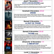 Festival de cinéma d'hiver