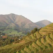 Festival de danse basque : Ekain dantza festibala