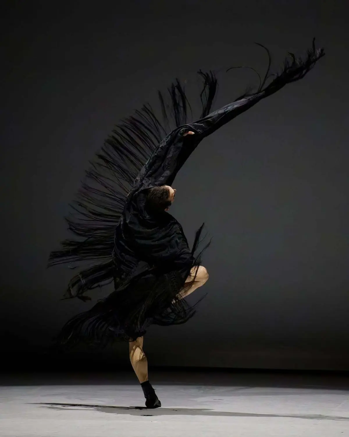 Spectacles, performances, films, temps d'échanges et master classes, le tout, autour de la danse