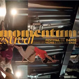 Festival de danse Momentum