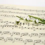 Festival de l'été en Périgord Vert : concert