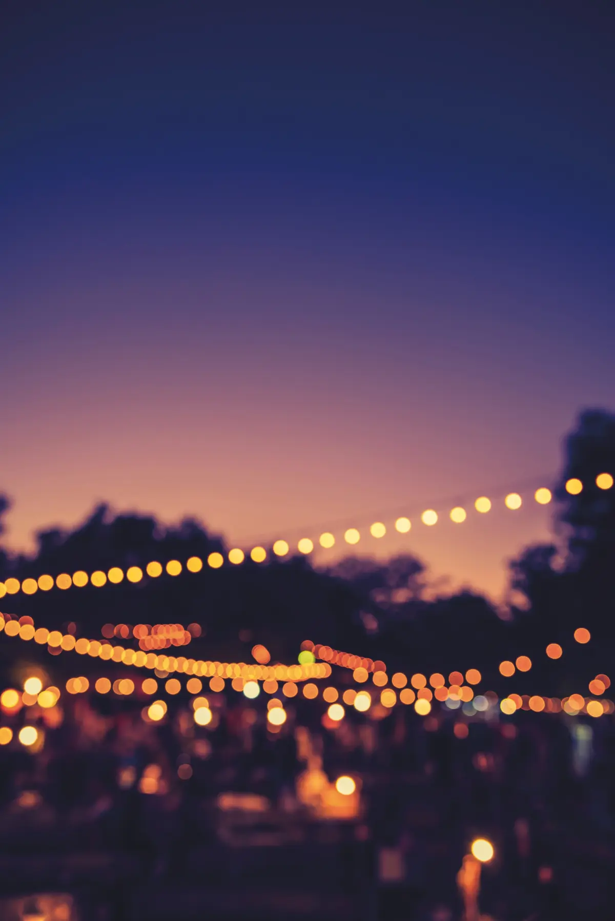 Festival de la Camargue - Soirée officielle d'ouverture en musique