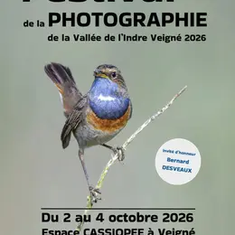 Festival de la photographie