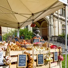 Festival de la Tomate et des Saveurs