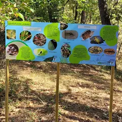 Festival de lecture à haute voix du Landais