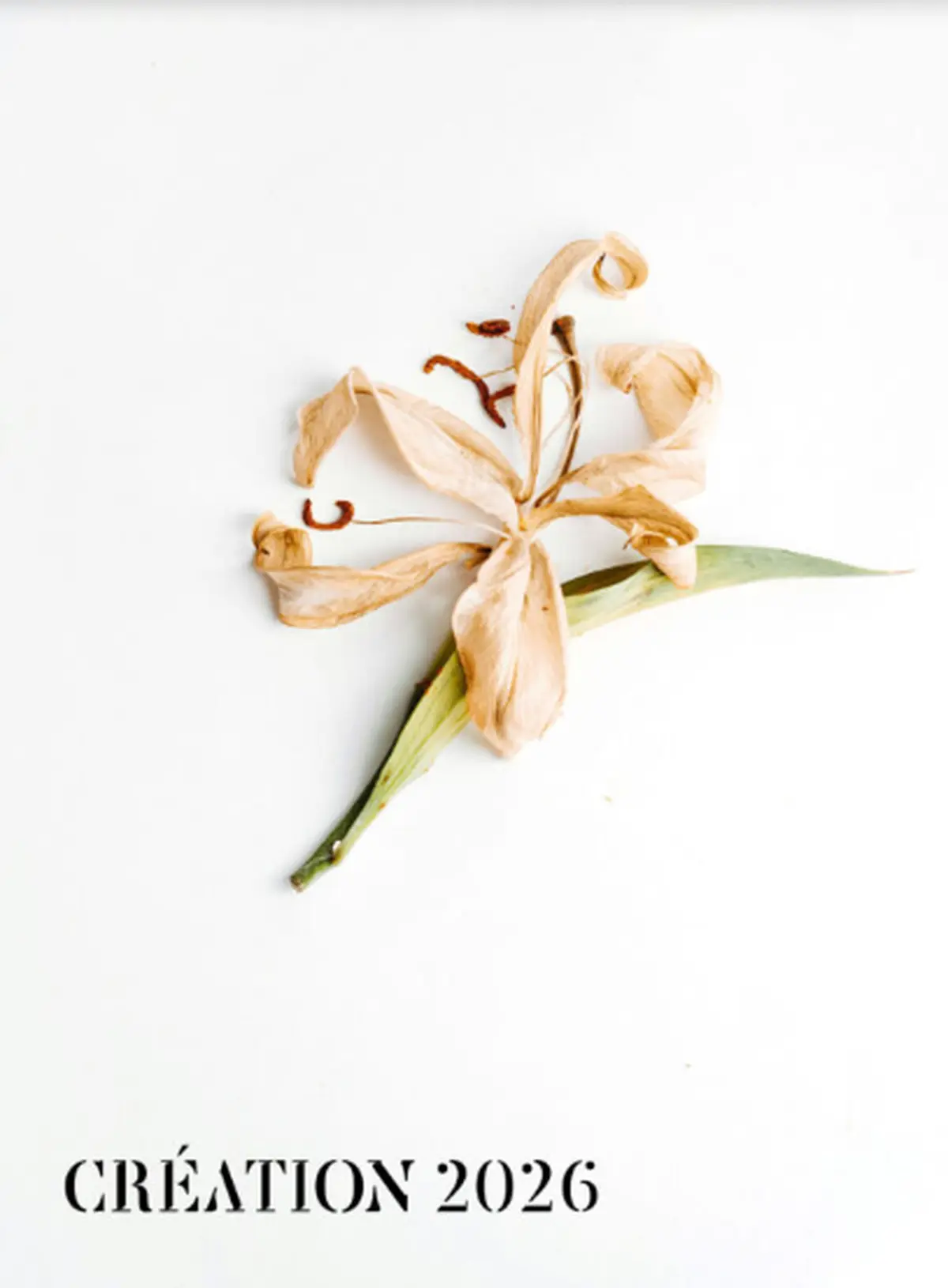 Festival de Rocamadour: Media Vita