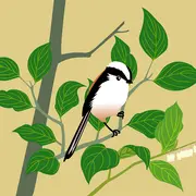 Festival déclic nature