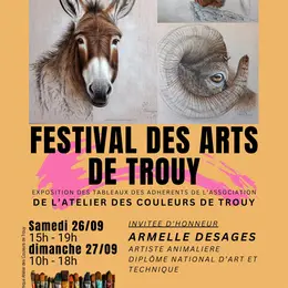 Festival des Arts de Trouy