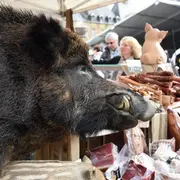 Festival des Confréries en Ardenne