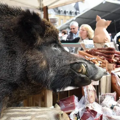 Festival des Confréries en Ardenne