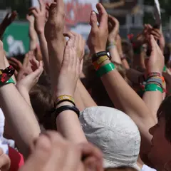 Festival des Insensés
