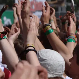 Festival des Insensés