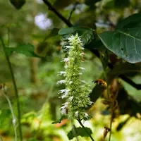 La beauté du Festival des Jardins de Chaumont-sur-Loire &copy; Facebook / Domaine de Chaumont-sur-Loire