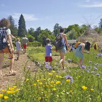 Festival des Jardins Métissés 2026 DR