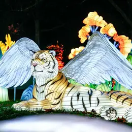 Festival des Lanternes
