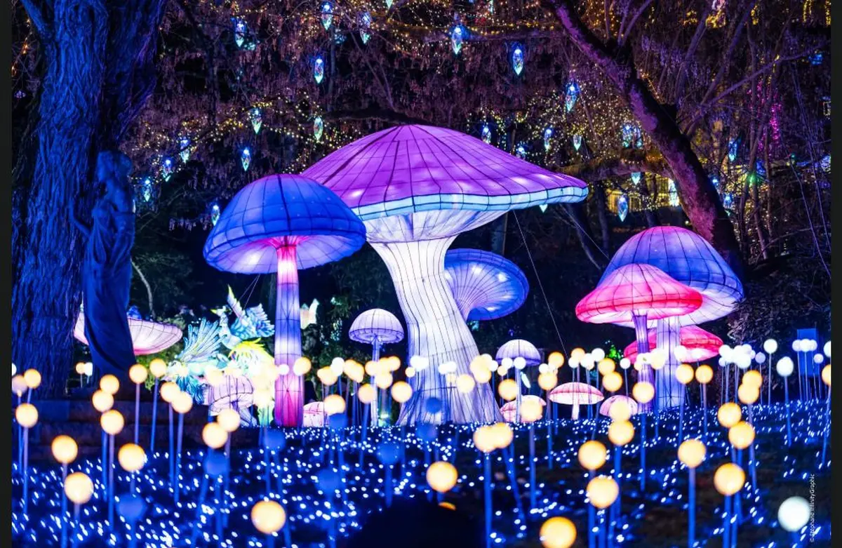 Festival des Lanternes 