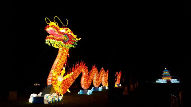 Le dragon en lanterne chinoise est impressionnant !