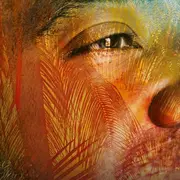 Festival “Demain” au Forum des images : le meilleur du film documentaire Outre-mer