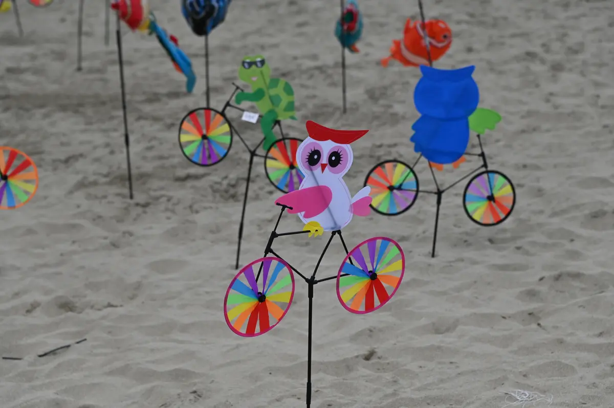 Festival Du Cerf Volant