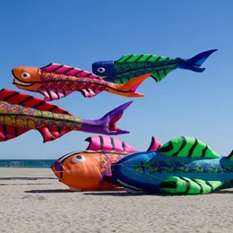Festival Du Cerf Volant