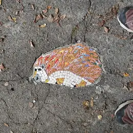 Festival du Rossignolet : Apéro mosaïque