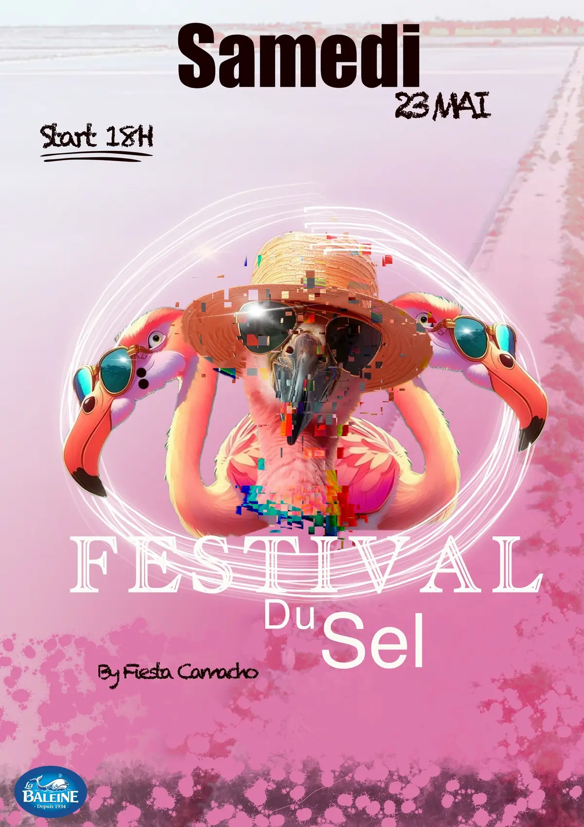 Festival du Sel