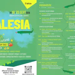 Festival Falesia 2026