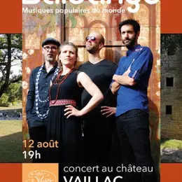 Festival Festi Vaillac - Concert au château