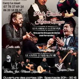 Festival Flamenco